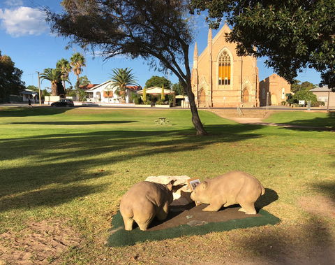 Wombat Statues, Moonta - Attractions Brisbane 2