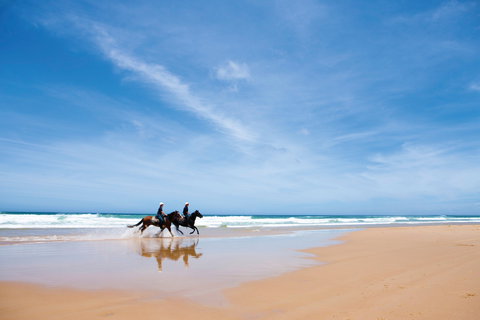 Worimi National Park - Attractions Brisbane 2