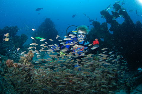 Aarhus Dive Site - Attractions Brisbane 0