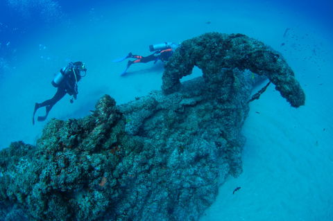 Aarhus Dive Site - Attractions Brisbane 1