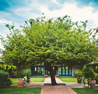 Ainslie  Gorman Arts Centres - Attractions Brisbane