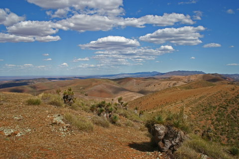 Arden Hills 4WD Track. - Attractions Brisbane 0