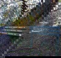 Arthurs Seat to Kings Falls Walk - Attractions Brisbane