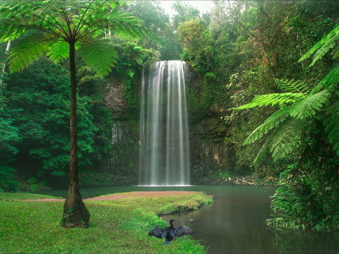 Atherton Tablelands - Attractions Brisbane 0