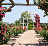 Australian Inland Botanic Gardens - Attractions Brisbane