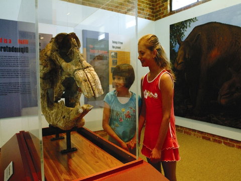 Australian Museum Diprotodon Exhibition: Closed For Building Repair July August - Attractions Brisbane 0