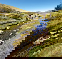 Australian Alps Walking Track - Attractions Brisbane