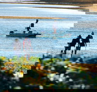 Ayr - Attractions Brisbane