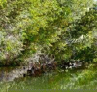 Berry Springs Nature Park - Attractions Brisbane