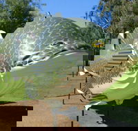 Big Murray Cod - Attractions Brisbane