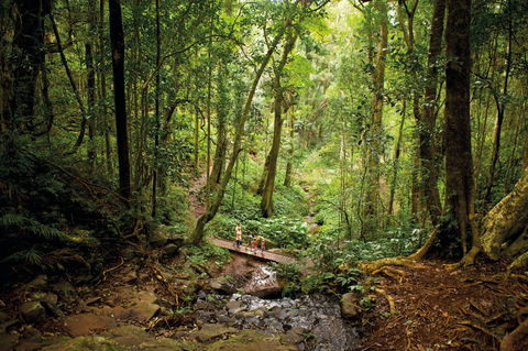 Big Sky National Parks - Attractions Brisbane 1