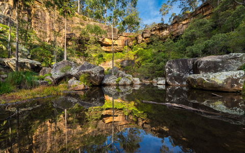 Blackwater - Attractions Brisbane 1