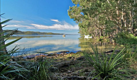 Black Oaks Picnic Area - Attractions Brisbane 0
