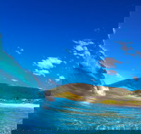 Blueys Beach Pacific Palms - Attractions Brisbane