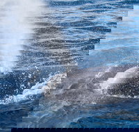 Bremer Bay Canyon - Attractions Brisbane