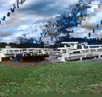 Bridge Creek War Memorial Bridge - Attractions Brisbane