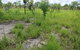 Brocks Creek Chinatown And Temple Site - thumb 2