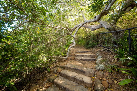 Capricorn Coast National Park - Attractions Brisbane 2