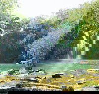 Cedar Creek Falls - Attractions Brisbane