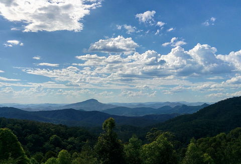 Collombatti - Attractions Brisbane 0