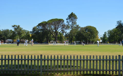 Cootamundra Cricketing Exploration - Attractions Brisbane 0