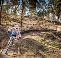Cycle Mogo State Forest - Attractions Brisbane