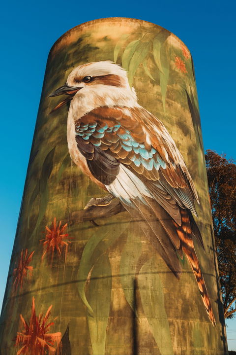 Deniliquin Water Tower Mural - Attractions Brisbane 0