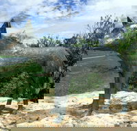 Dingo Statue - Attractions Brisbane