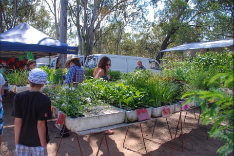 Fernvale Country Markets - Attractions Brisbane 0