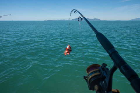 Fishing At Magnetic Island - Attractions Brisbane 1