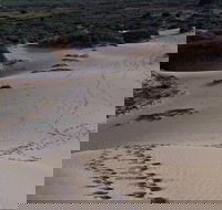 Foreshore Walk Mungo National Park - Attractions Brisbane