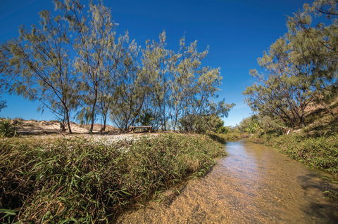 Freshwater Creek Track, Byfield National Park - Attractions Brisbane 0