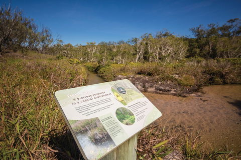 Freshwater Creek Track, Byfield National Park - Attractions Brisbane 1