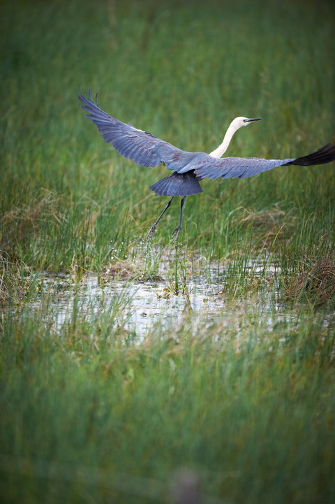 Germein Reserve - Attractions Brisbane 0