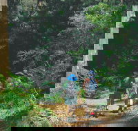 Gloucester National Park - Attractions Brisbane