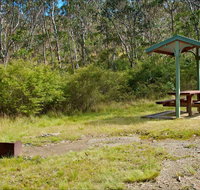 Gloucester Tops picnic area - Attractions Brisbane