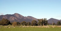 Grampians
