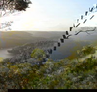 Great North walk - Berowra Valley National Park - Attractions Brisbane