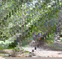 Hay Free Push Bikes - Attractions Brisbane