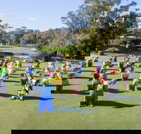 Hello Koalas Sculpture Trail - Attractions Brisbane