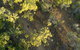 Hillview Drive Reserve - thumb 2