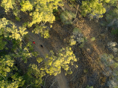 Hillview Drive Reserve - Attractions Brisbane 2