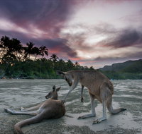How to Holiday on The Hibiscus Coast with your Family - Attractions Brisbane