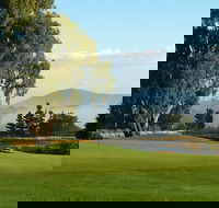 Kangaroo Tours at Gisborne Golf Club Inc - Attractions Brisbane