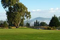 Kangaroo Tours at Gisborne Golf Club Inc