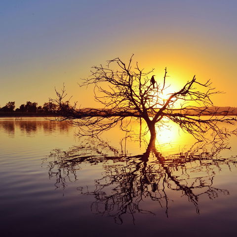 Lake Dyer - Attractions Brisbane 0