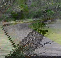 Leschenault Peninsula Conservation Park - Attractions Brisbane