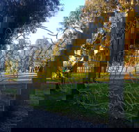 Mansfield Botanic Park - Attractions Brisbane