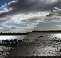 Marine Parade Hastings Foreshore Reserve Circuit - Cycling - Attractions Brisbane