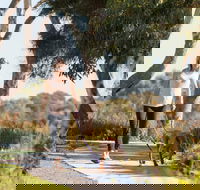 Meningie Walking and Cycling Trails - Attractions Brisbane
